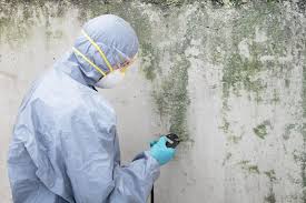 Best Emergency Mold Remediation  in Austintown, OH